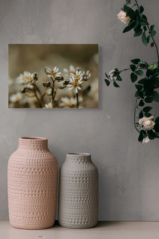 Tablou Canvas, "Delicate flori într-un colț de natură", Flori, Mici, Alb, Delicat, Naturale, Înflorite, Fragile, Frumusețe., 54 x 39 cm – poza 8