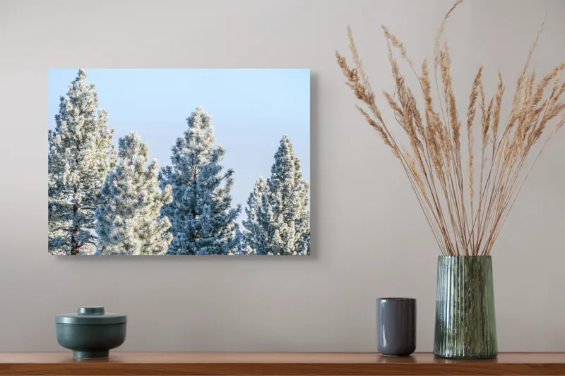 Tablou Canvas, "Brazi învelişi în zăpadă strălucitoare", Iarnă, Brazi, Zăpadă, Cer, Natură, 54 x 39 cm – poza 4