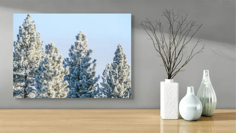 Tablou Canvas, "Brazi învelişi în zăpadă strălucitoare", Iarnă, Brazi, Zăpadă, Cer, Natură, 70 x 50 cm – poza 3
