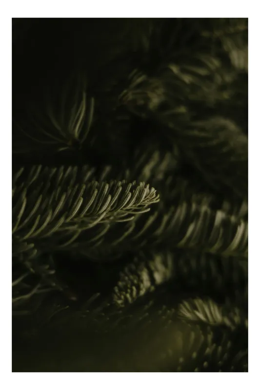 Tablou Canvas, "Dansul liniștit al ramurilor verzi", Frunziș, Verde, Textură, Delicat, Natură, Întunecat, Frumusețe, 100 x 150 cm