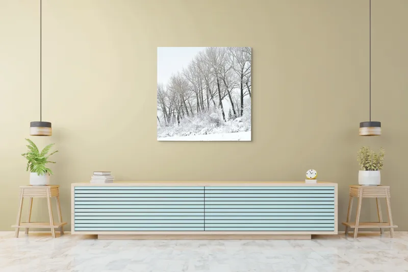 Tablou Canvas, "Pădurea înghețată sub cer gri", Alb, Rece, Zăpadă, Copaci, Cer, Frig, Pădure, Iarnă., 100 x 100 cm – poza 5