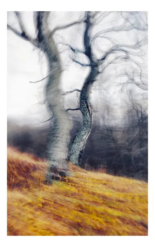 Tablou Canvas, "Dansul copacilor în adierea vântului", Arbore, Dansant, Culoare, Mișcare, Toamnă, Abstracție, Natură, Pictural, Vibrant, Mistic, 50 x 90 cm