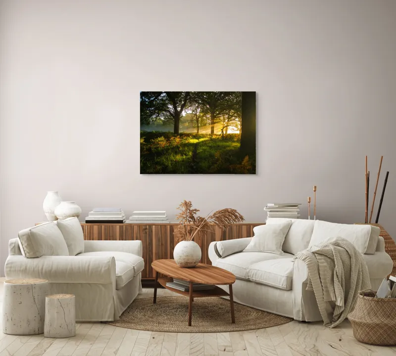 Tablou Canvas, "Raze de soare printre copaci eleganți", Frumusețe, Lumină, Pădure, Răsărit, Natură, Umbre, Verdeață, Copaci, Serenitate, 100 x 70 cm – poza 3