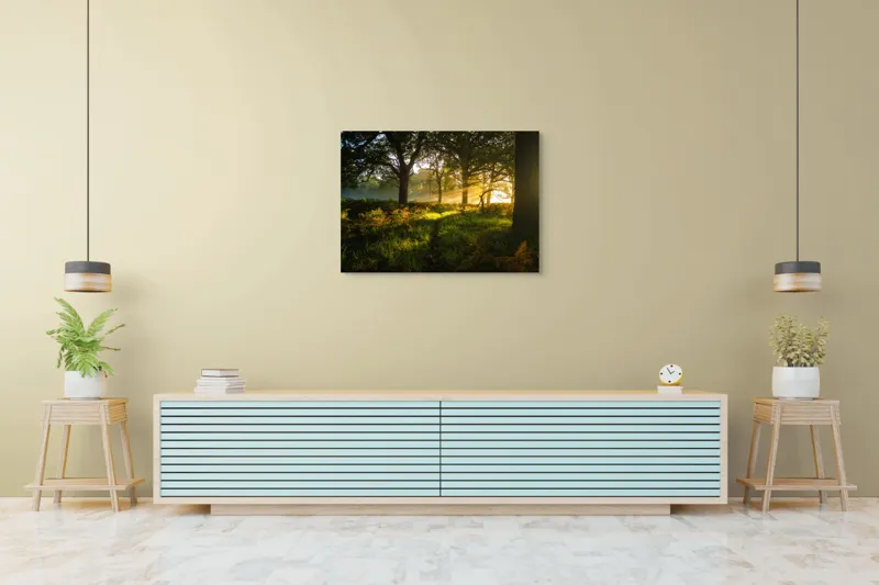 Tablou Canvas, "Raze de soare printre copaci eleganți", Frumusețe, Lumină, Pădure, Răsărit, Natură, Umbre, Verdeață, Copaci, Serenitate, 100 x 70 cm – poza 4