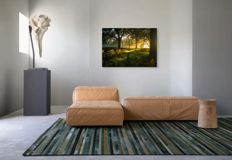 Tablou Canvas, "Raze de soare printre copaci eleganți", Frumusețe, Lumină, Pădure, Răsărit, Natură, Umbre, Verdeață, Copaci, Serenitate, 100 x 70 cm – poza 7
