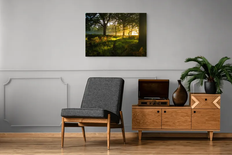 Tablou Canvas, "Raze de soare printre copaci eleganți", Frumusețe, Lumină, Pădure, Răsărit, Natură, Umbre, Verdeață, Copaci, Serenitate, 100 x 70 cm – poza 8