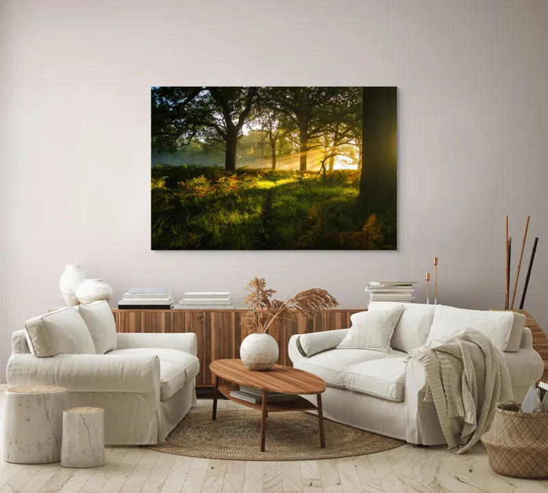 Tablou Canvas, "Raze de soare printre copaci eleganți", Frumusețe, Lumină, Pădure, Răsărit, Natură, Umbre, Verdeață, Copaci, Serenitate, 150 x 100 cm – poza 3