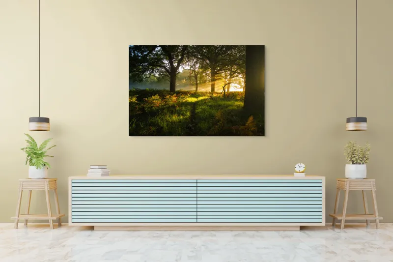 Tablou Canvas, "Raze de soare printre copaci eleganți", Frumusețe, Lumină, Pădure, Răsărit, Natură, Umbre, Verdeață, Copaci, Serenitate, 150 x 100 cm – poza 6