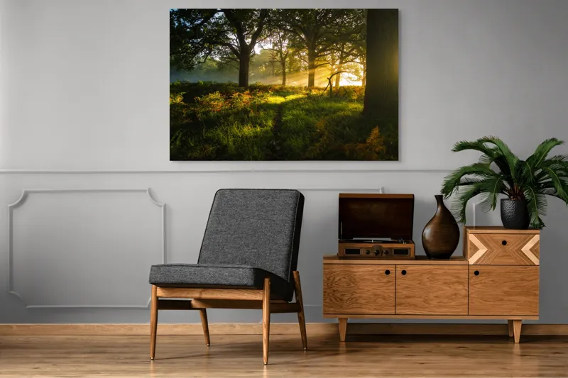 Tablou Canvas, "Raze de soare printre copaci eleganți", Frumusețe, Lumină, Pădure, Răsărit, Natură, Umbre, Verdeață, Copaci, Serenitate, 150 x 100 cm – poza 8