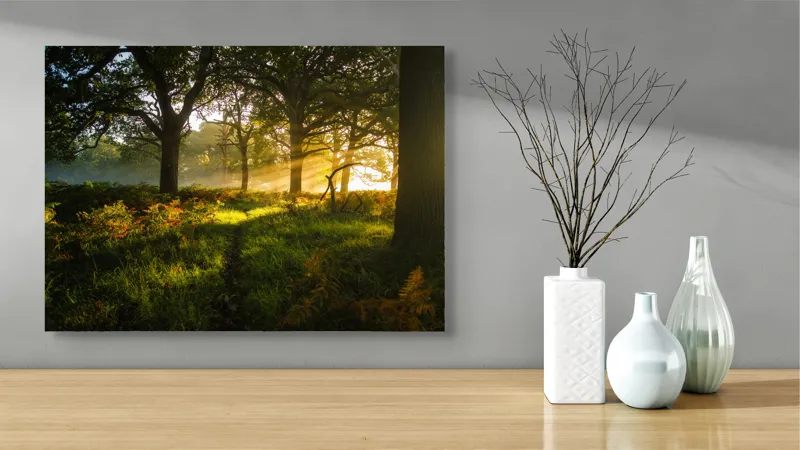 Tablou Canvas, "Raze de soare printre copaci eleganți", Frumusețe, Lumină, Pădure, Răsărit, Natură, Umbre, Verdeață, Copaci, Serenitate, 70 x 50 cm – poza 3
