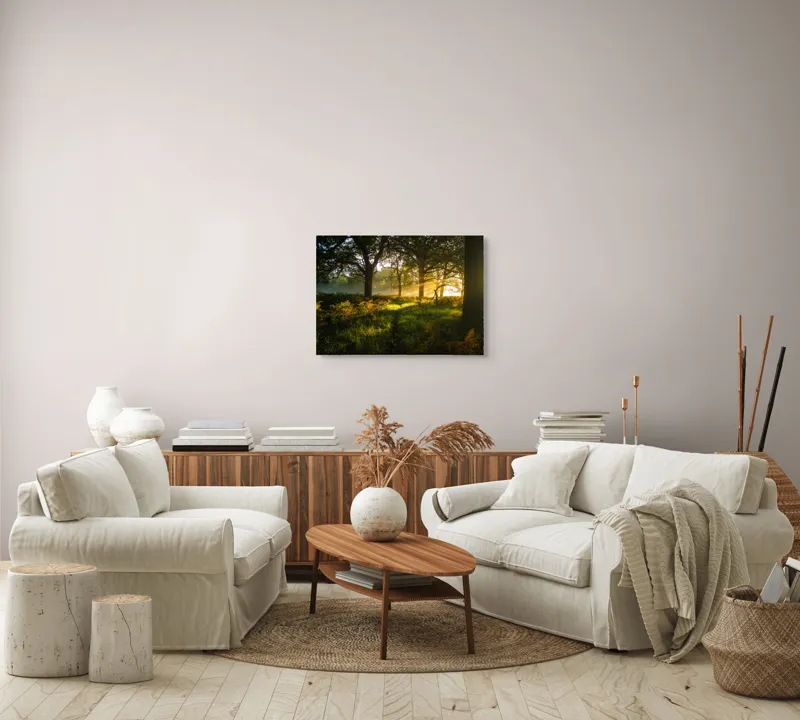 Tablou Canvas, "Raze de soare printre copaci eleganți", Frumusețe, Lumină, Pădure, Răsărit, Natură, Umbre, Verdeață, Copaci, Serenitate, 70 x 50 cm – poza 6