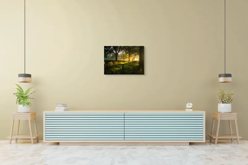 Tablou Canvas, "Raze de soare printre copaci eleganți", Frumusețe, Lumină, Pădure, Răsărit, Natură, Umbre, Verdeață, Copaci, Serenitate, 70 x 50 cm – poza 7