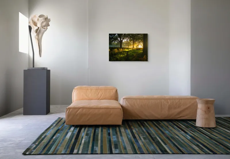 Tablou Canvas, "Raze de soare printre copaci eleganți", Frumusețe, Lumină, Pădure, Răsărit, Natură, Umbre, Verdeață, Copaci, Serenitate, 70 x 50 cm – poza 8