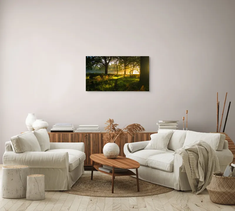 Tablou Canvas, "Raze de soare printre copaci eleganți", Frumusețe, Lumină, Pădure, Răsărit, Natură, Umbre, Verdeață, Copaci, Serenitate, 90 x 50 cm – poza 4