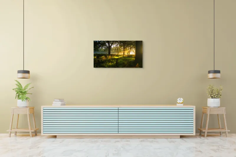 Tablou Canvas, "Raze de soare printre copaci eleganți", Frumusețe, Lumină, Pădure, Răsărit, Natură, Umbre, Verdeață, Copaci, Serenitate, 90 x 50 cm – poza 5