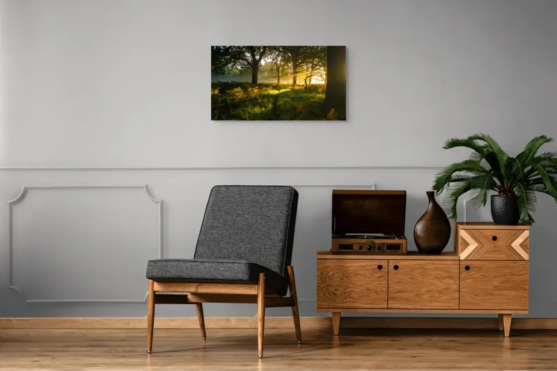 Tablou Canvas, "Raze de soare printre copaci eleganți", Frumusețe, Lumină, Pădure, Răsărit, Natură, Umbre, Verdeață, Copaci, Serenitate, 90 x 50 cm – poza 6
