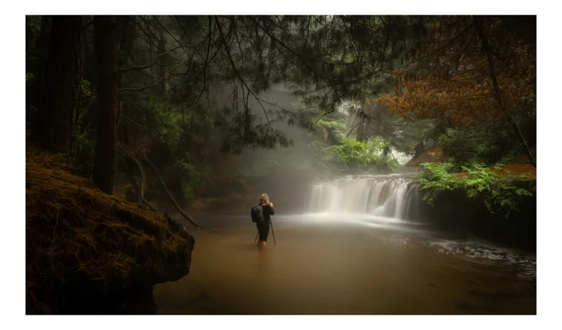 Tablou Canvas, "Utilitate și liniște în pădurea fermecată", Pădure, Cascadă, Explorator, Mister, Lumină, Natură, Aventură, Râu, Copaci, Călătorie, 50 x 50 cm