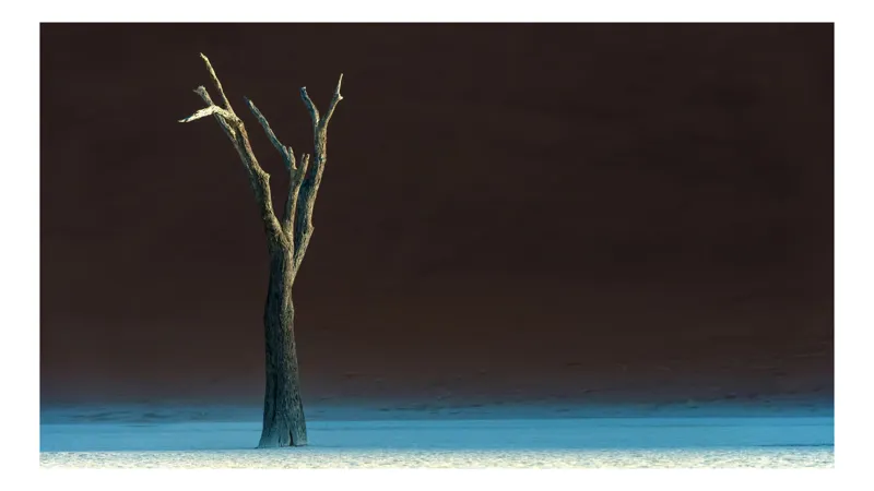 Tablou Canvas, "Arborele singuratic sub cerul întunecat", Singurătate, Liniște, Minimalism, Contrast, Deșert, Întuneric, Arborii, Simplitate, Natură, 90 x 50 cm