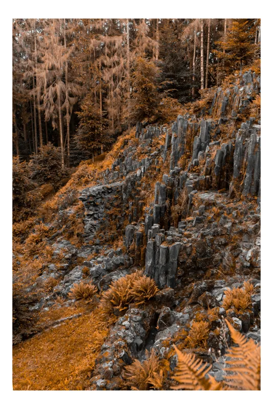 Tablou Canvas, "Pădurea de piatră în amurg tomnatic", Pădure, Toamnă, Rocă, Columnară, Vegetație, Împădurită, Textură, Ruginiu, Coloane, Natură, Faleză, Stâncos, Armonie, Detaliu, Peisaj, 50 x 50 cm