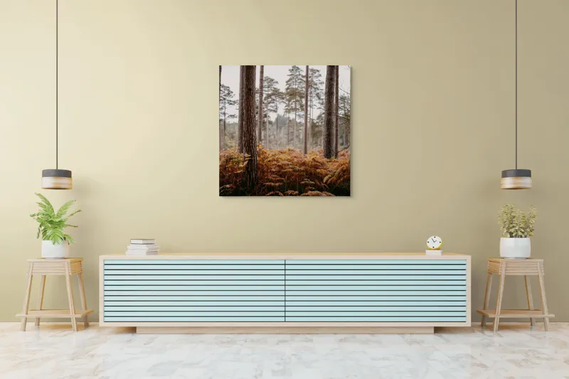 Tablou Canvas, "Pădure de toamnă liniștită și misterioasă", Pădure, Arbori, Ferigi, Toamnă, Natură, Tihnă, Trunchiuri, Verdeață, 100 x 100 cm – poza 5