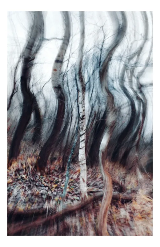 Tablou Canvas, "Pădurea dansului de vânt toamna", Arbori, Vârtej, Toamnă, Pădure, Mișcare, Abstracție, Mister, Natură, Dans, Texturi, 26 x 39 cm