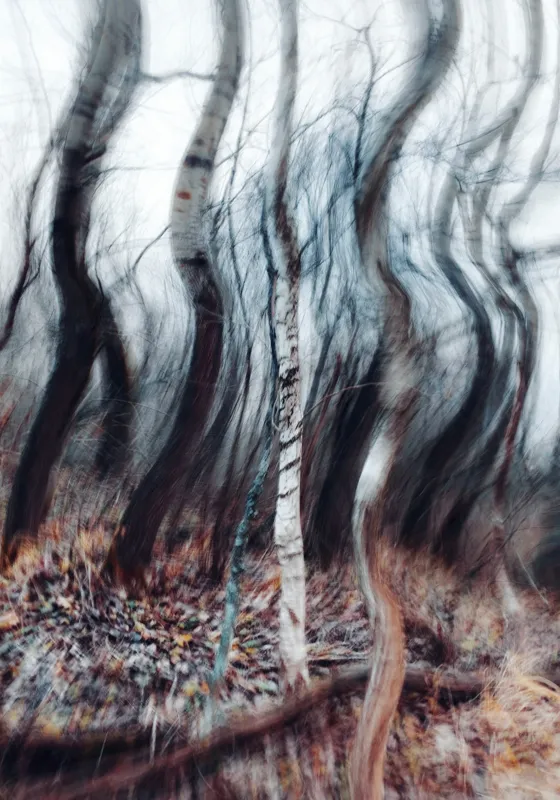 Tablou Canvas, "Pădurea dansului de vânt toamna", Arbori, Vârtej, Toamnă, Pădure, Mișcare, Abstracție, Mister, Natură, Dans, Texturi, 70 x 100 cm – poza 2