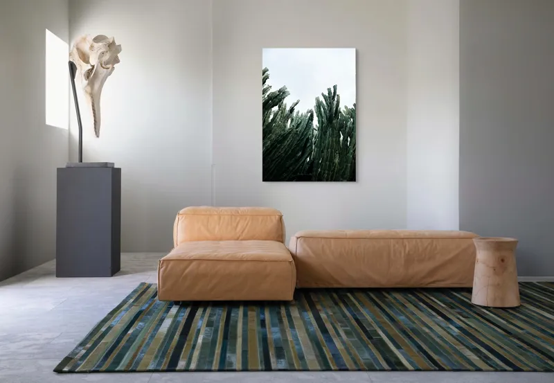Tablou Canvas, "Cactuși sub cer înnorat", Cactusi, Cer, Verde, Texturi, Natura, Inaltimi, Frunze, Ascutit, 70 x 100 cm – poza 7