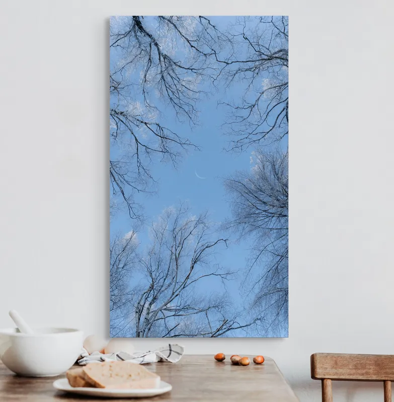 Tablou Canvas, "Cercei de gheață sub lună palidă", Cer, Ramuri, Copaci, Iarnă, Albastru, Lună, Natură, Calm, Frig, Frunziș., 50 x 90 cm – poza 3