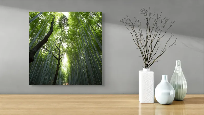 Tablou Canvas, "Pădure de bambus înalt și verde", Verde, Lumină, Pădure, Bambus, Înălțime, Natură, Calm, Mister, Frumusețe, Umbre., 50 x 50 cm – poza 3