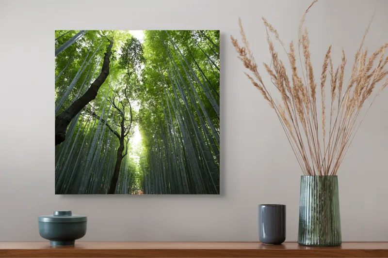 Tablou Canvas, "Pădure de bambus înalt și verde", Verde, Lumină, Pădure, Bambus, Înălțime, Natură, Calm, Mister, Frumusețe, Umbre., 50 x 50 cm – poza 4