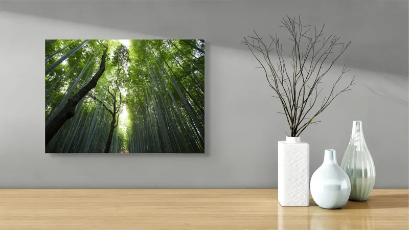 Tablou Canvas, "Pădure de bambus înalt și verde", Verde, Lumină, Pădure, Bambus, Înălțime, Natură, Calm, Mister, Frumusețe, Umbre., 54 x 39 cm – poza 3