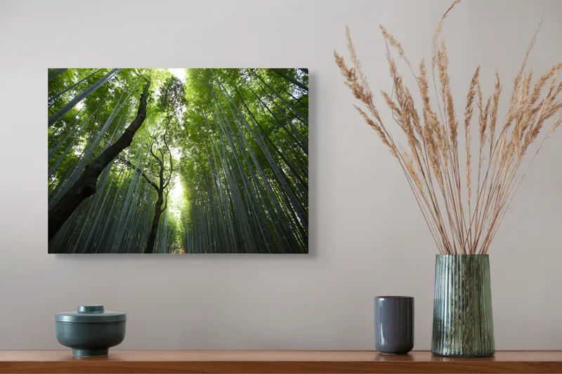Tablou Canvas, "Pădure de bambus înalt și verde", Verde, Lumină, Pădure, Bambus, Înălțime, Natură, Calm, Mister, Frumusețe, Umbre., 54 x 39 cm – poza 4
