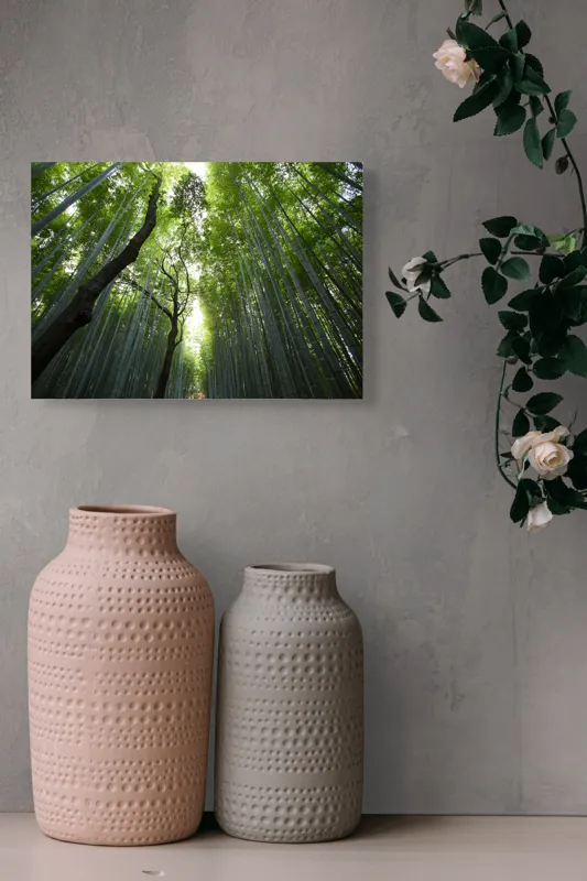 Tablou Canvas, "Pădure de bambus înalt și verde", Verde, Lumină, Pădure, Bambus, Înălțime, Natură, Calm, Mister, Frumusețe, Umbre., 54 x 39 cm – poza 8