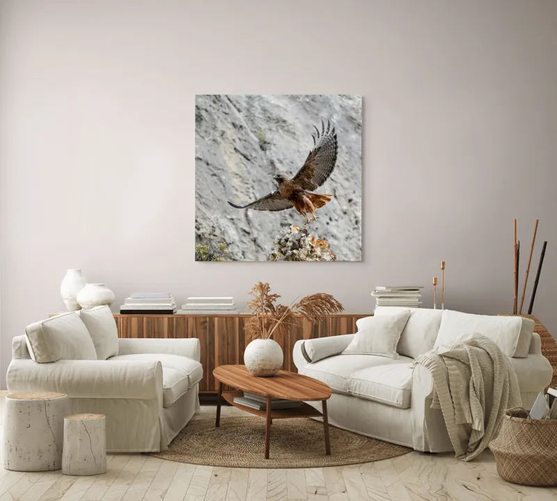 Tablou Canvas, "Uriașul zbor al șoimului liber", Șoim, Stâncă, Aripi, Natură, Cer, Pene, Vânătoare, Agilitate, Zbor, Vultur, 100 x 100 cm – poza 3