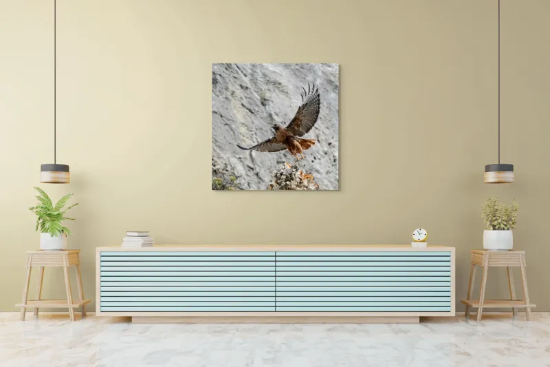 Tablou Canvas, "Uriașul zbor al șoimului liber", Șoim, Stâncă, Aripi, Natură, Cer, Pene, Vânătoare, Agilitate, Zbor, Vultur, 100 x 100 cm – poza 5