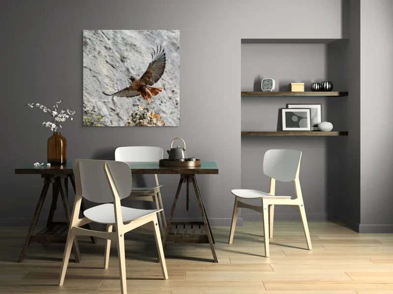 Tablou Canvas, "Uriașul zbor al șoimului liber", Șoim, Stâncă, Aripi, Natură, Cer, Pene, Vânătoare, Agilitate, Zbor, Vultur, 100 x 100 cm – poza 6