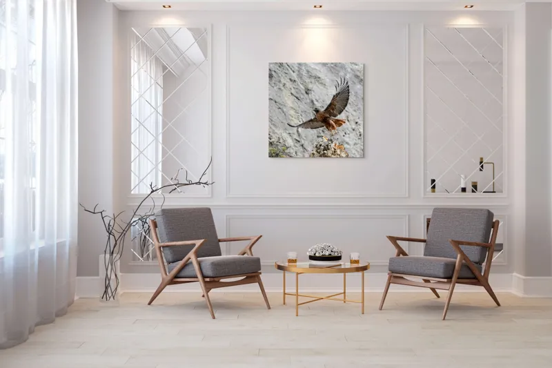 Tablou Canvas, "Uriașul zbor al șoimului liber", Șoim, Stâncă, Aripi, Natură, Cer, Pene, Vânătoare, Agilitate, Zbor, Vultur, 100 x 100 cm – poza 7