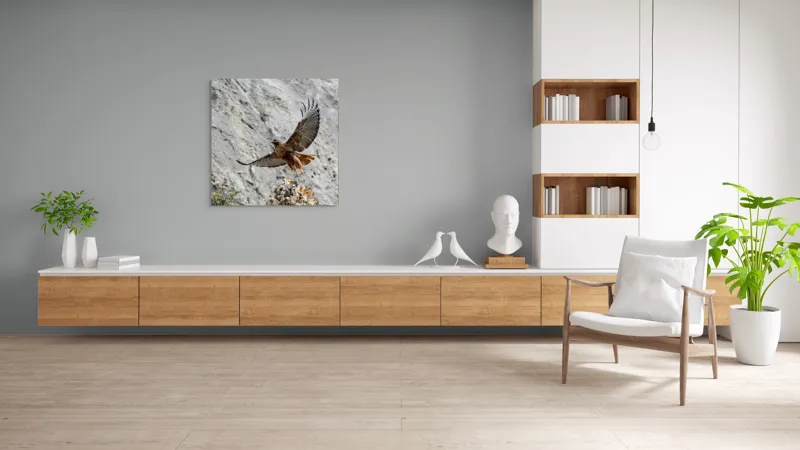 Tablou Canvas, "Uriașul zbor al șoimului liber", Șoim, Stâncă, Aripi, Natură, Cer, Pene, Vânătoare, Agilitate, Zbor, Vultur, 100 x 100 cm – poza 8
