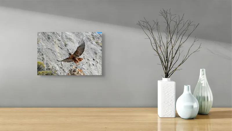 Tablou Canvas, "Uriașul zbor al șoimului liber", Șoim, Stâncă, Aripi, Natură, Cer, Pene, Vânătoare, Agilitate, Zbor, Vultur, 39 x 26 cm – poza 8