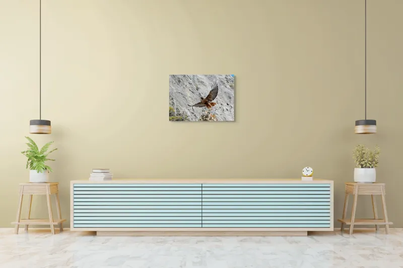 Tablou Canvas, "Uriașul zbor al șoimului liber", Șoim, Stâncă, Aripi, Natură, Cer, Pene, Vânătoare, Agilitate, Zbor, Vultur, 70 x 50 cm – poza 7