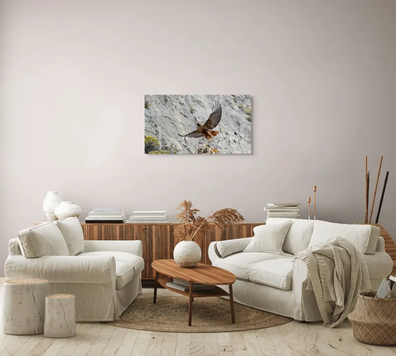 Tablou Canvas, "Uriașul zbor al șoimului liber", Șoim, Stâncă, Aripi, Natură, Cer, Pene, Vânătoare, Agilitate, Zbor, Vultur, 90 x 50 cm – poza 4