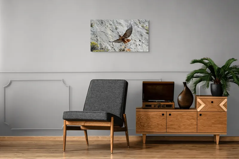 Tablou Canvas, "Uriașul zbor al șoimului liber", Șoim, Stâncă, Aripi, Natură, Cer, Pene, Vânătoare, Agilitate, Zbor, Vultur, 90 x 50 cm – poza 6
