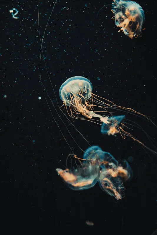 Tablou Canvas, "Dansul grațios al meduzelor marine", Meduze, Atingeri, Bioluminiscență, Abis, Grație, Curent, Ocean, Eteric, Drifting, Misterios, 100 x 150 cm – poza 2