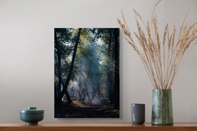 Tablou Canvas, "Raze de lumină în pădurea tainică", Mister, Lumină, Pădure, Umbre, Frunziș, Tainic, Copaci, Raze, Pitoresc, Seren., 39 x 54 cm – poza 3