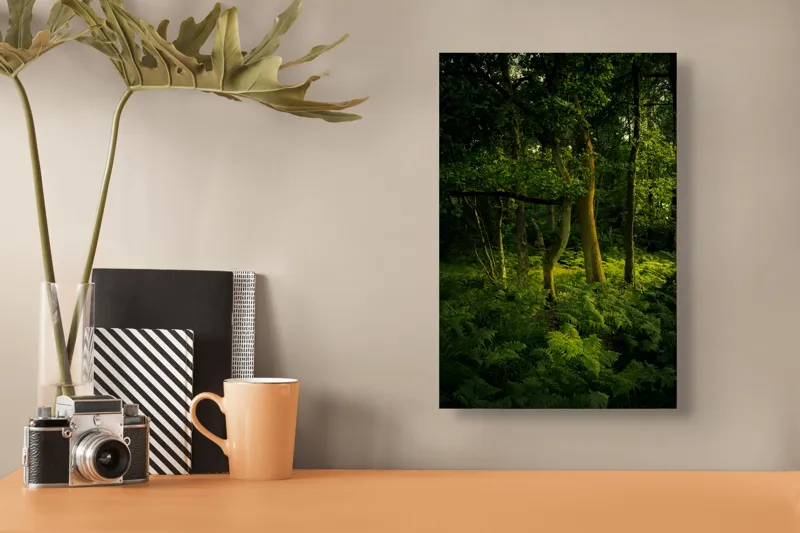 Tablou Canvas, "Lumina printre copacii pădurii verzi", Verde, Lumină, Copaci, Ferigi, Umbră, Pădure, Linie, Frunziș, Tihnă, Răcoare, 26 x 39 cm – poza 3