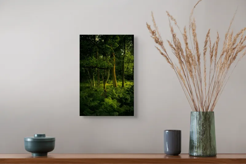 Tablou Canvas, "Lumina printre copacii pădurii verzi", Verde, Lumină, Copaci, Ferigi, Umbră, Pădure, Linie, Frunziș, Tihnă, Răcoare, 26 x 39 cm – poza 5