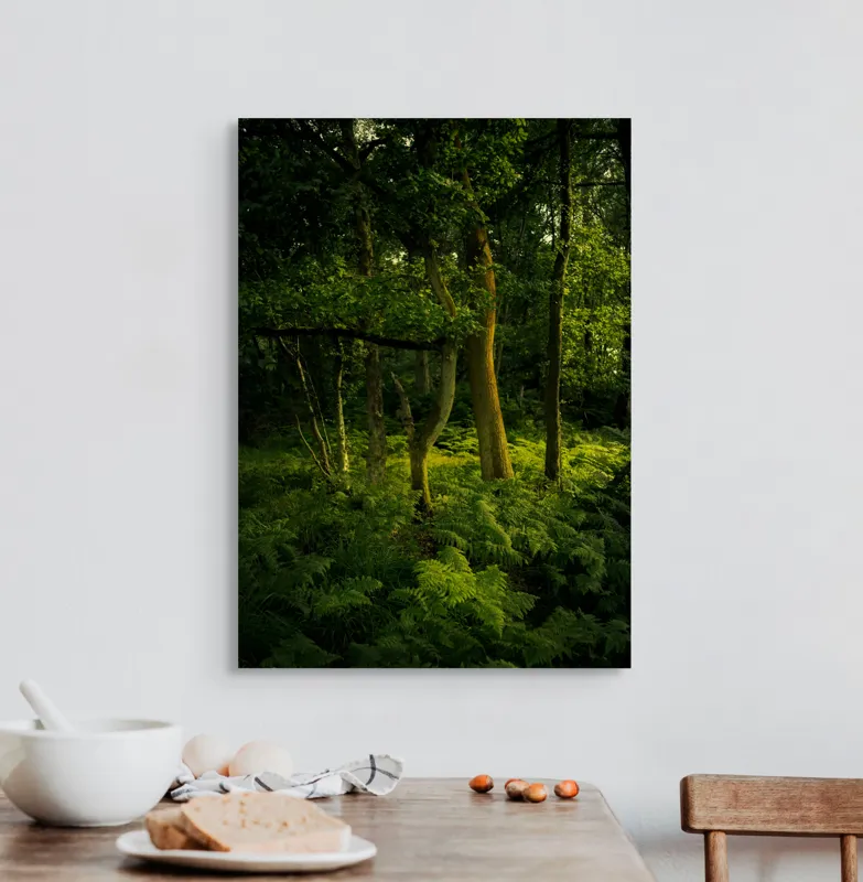 Tablou Canvas, "Lumina printre copacii pădurii verzi", Verde, Lumină, Copaci, Ferigi, Umbră, Pădure, Linie, Frunziș, Tihnă, Răcoare, 50 x 70 cm – poza 3