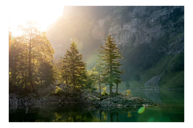 Tablou Canvas, "Iluminarea dimineții în pădurea montană", Pădure, Apus, Lumină, Reflexie, Apă, Munte, Tranquilitate, Natură, Verde, Seninătate, 90 x 50 cm