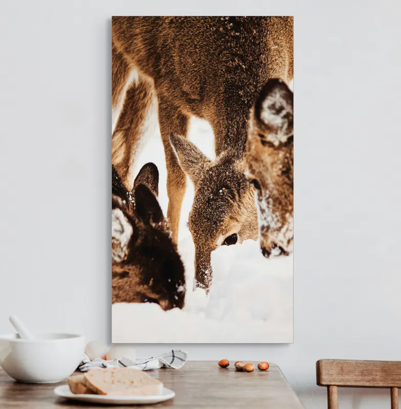 Tablou Canvas, "Căprioare căutând hrană în zăpadă", Creaturi, Nisip, Alb, Zăpadă, Blană, Împreună, Iarna, Peisaj, Natură, Pădure, Frig, Amuzant, Grijă, Apropiere, Calde, Necuvântătoare, Simplu, Elegant, Linie, 50 x 90 cm – poza 3