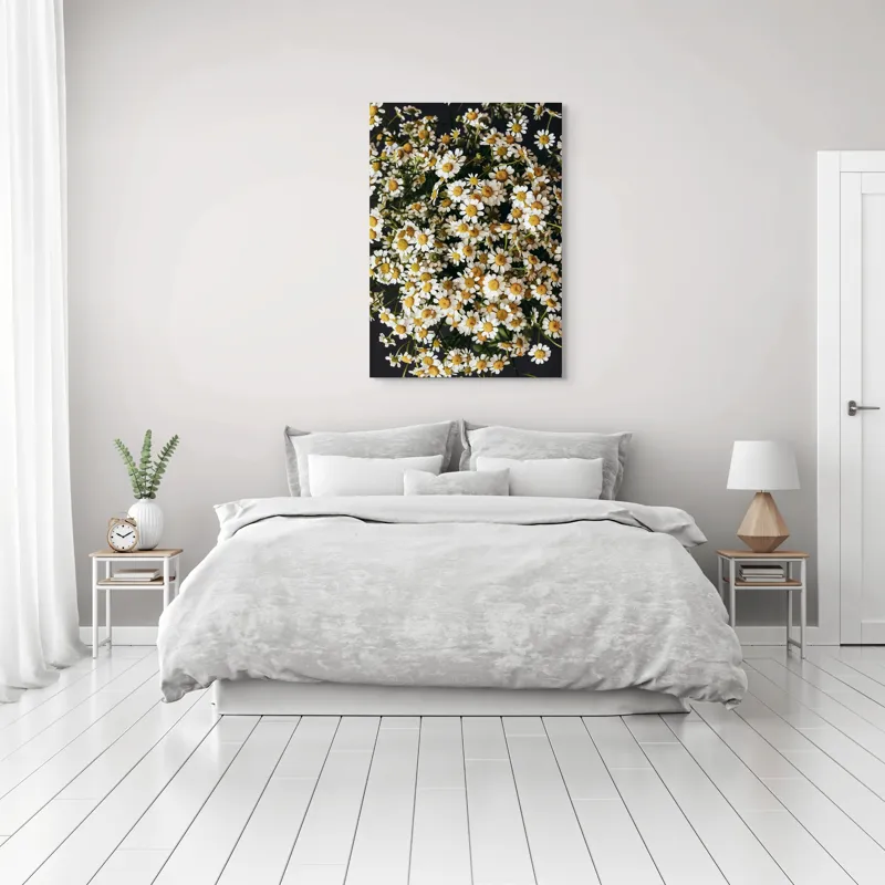 Tablou Canvas, "Câmp de margarete înflorite", Flori, Galbene, Albe, Naturale, Frumusețe, Petale, Vesele, Abundență, Contrast, Simplu, 70 x 100 cm – poza 3